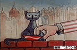 Imagem Meow