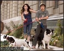 Imagem Um Hotel Bom pra Cachorro