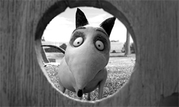 Imagem Frankenweenie
