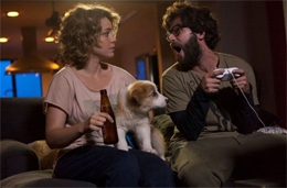 Imagem Mato Sem Cachorro