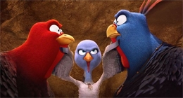 Imagem Bons de Bico