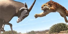 Imagem Khumba