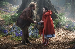 Imagem Caminhos da Floresta