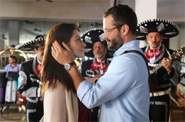 Imagem Qualquer Gato Vira-Lata 2