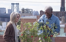 Imagem Ruth & Alex