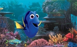 Imagem Procurando Dory