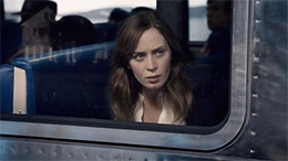 Imagem A Garota no Trem