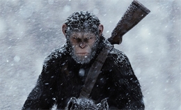 Imagem Planeta dos Macacos: A Guerra