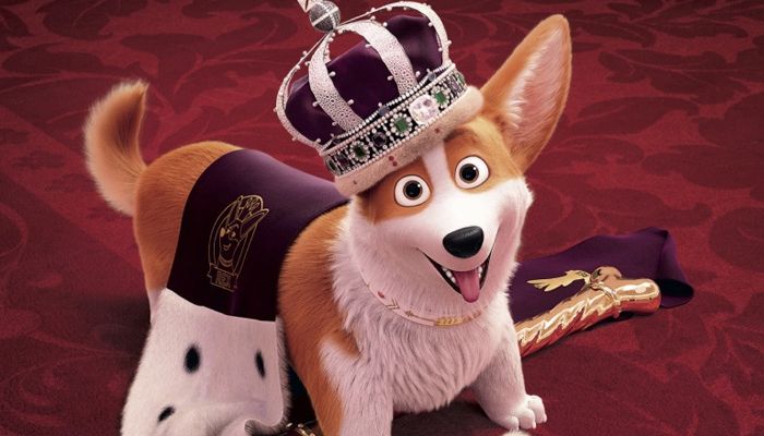 Imagem Corgi: Top Dog