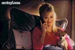 Imagem LEGALMENTE LOIRA 2