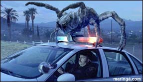 Imagem MALDITAS ARANHAS
