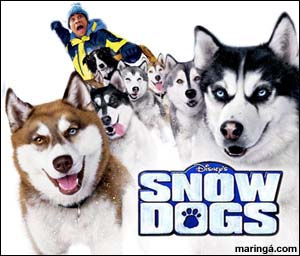 Imagem NEVE PRA CACHORRO