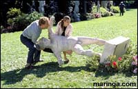 Imagem O Casamento dos Meus Sonhos
