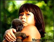 Imagem Tainá, Uma Aventura na Amazonia