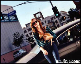 Imagem Crimes em Wonderland