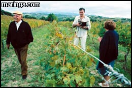 Imagem Mondovino