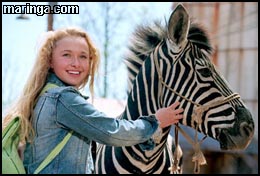 Imagem Deu Zebra!