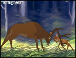 Imagem Bambi 2 - O Grande Príncipe da Floresta
