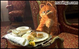 Imagem Garfield 2