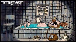 Imagem Wood & Stock - Sexo, Orégano e Rock'n'Roll