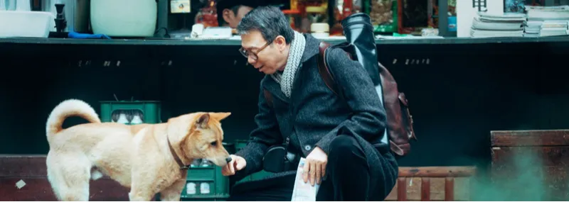 Imagem Hachiko - Para Sempre