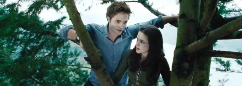 Imagem Crepúsculo (Relançamento)